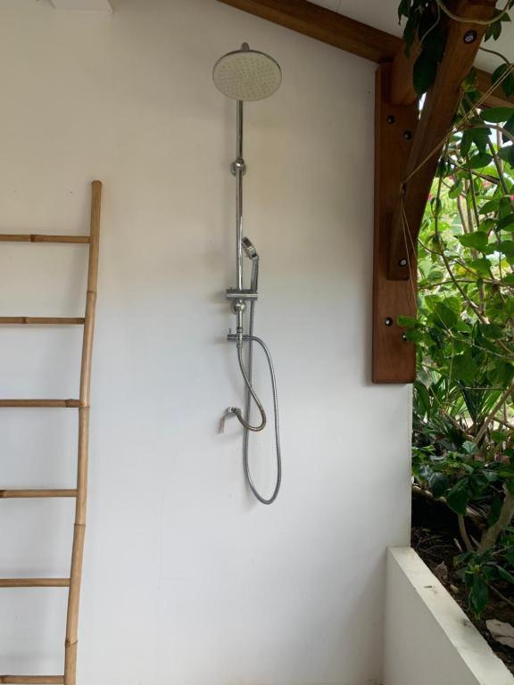 Le Tropical Appartement 1 Ou 2 Chambres Les Anses-d'Arlets Exterior foto